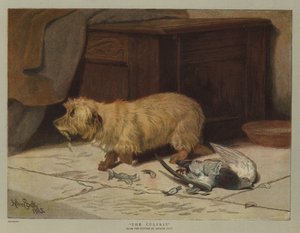 Il colpevole (cromolitografia)